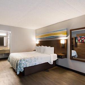 Suite Lit King-Size